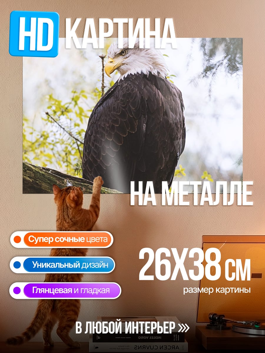 Картина на металле Орёл на ветке