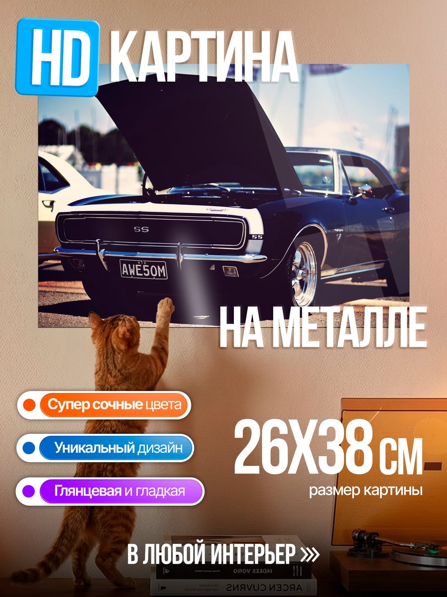 Картина на металле Классический маслкар