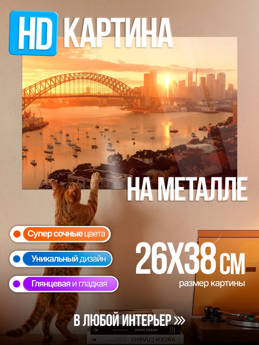 Картина на металле Сиднейский закат