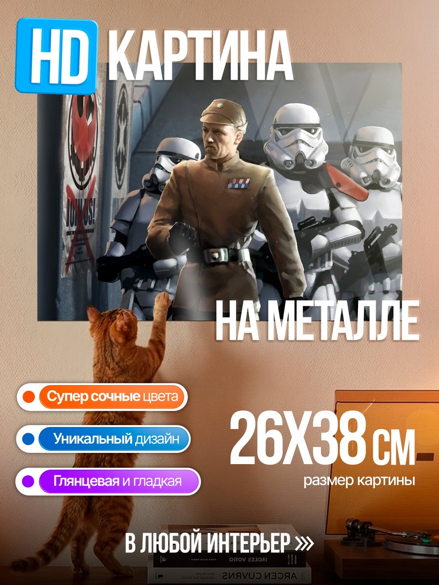 Картина на металле имперский офицер штурмовики