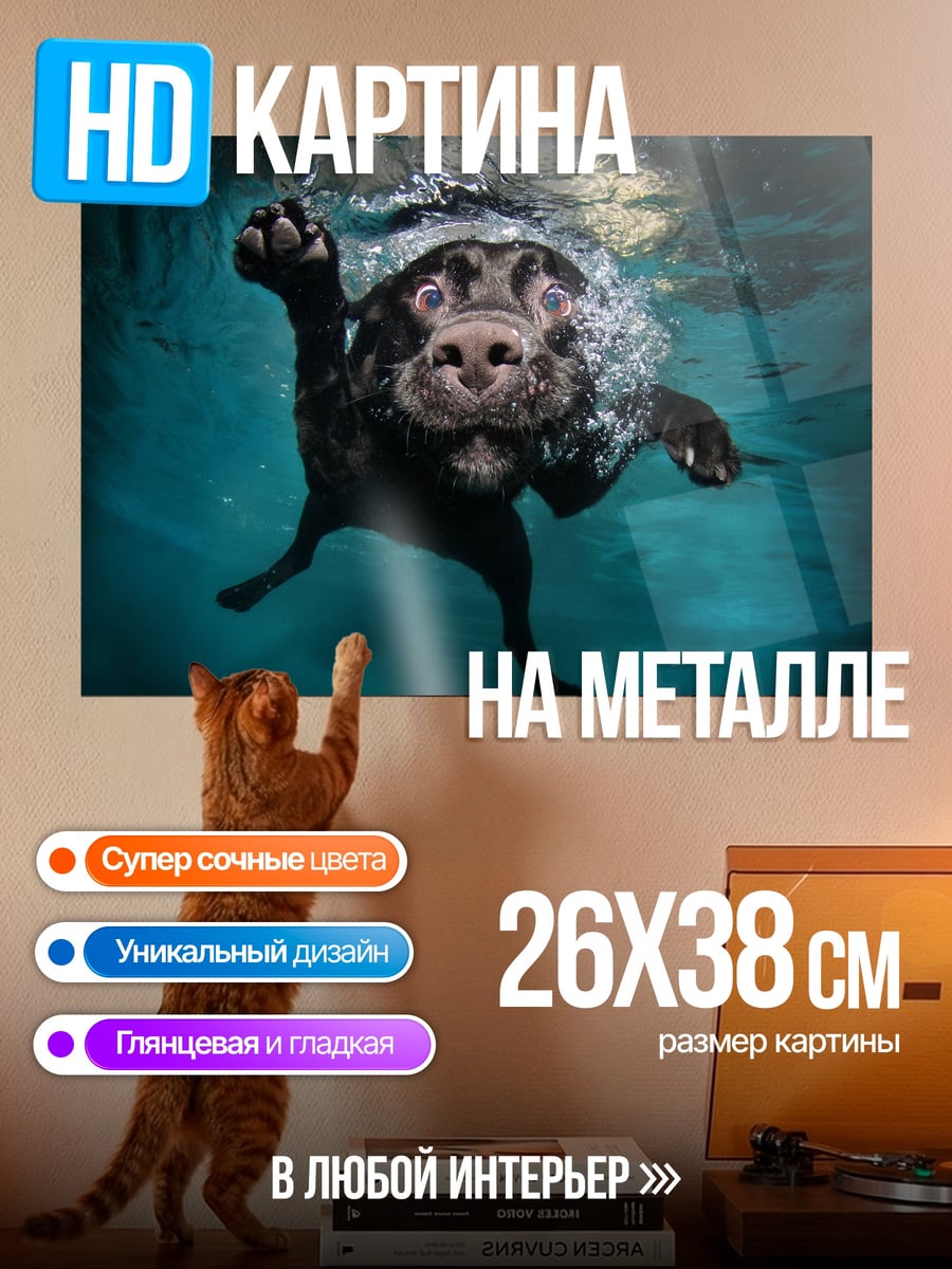 Картина на металле Плывущая собака