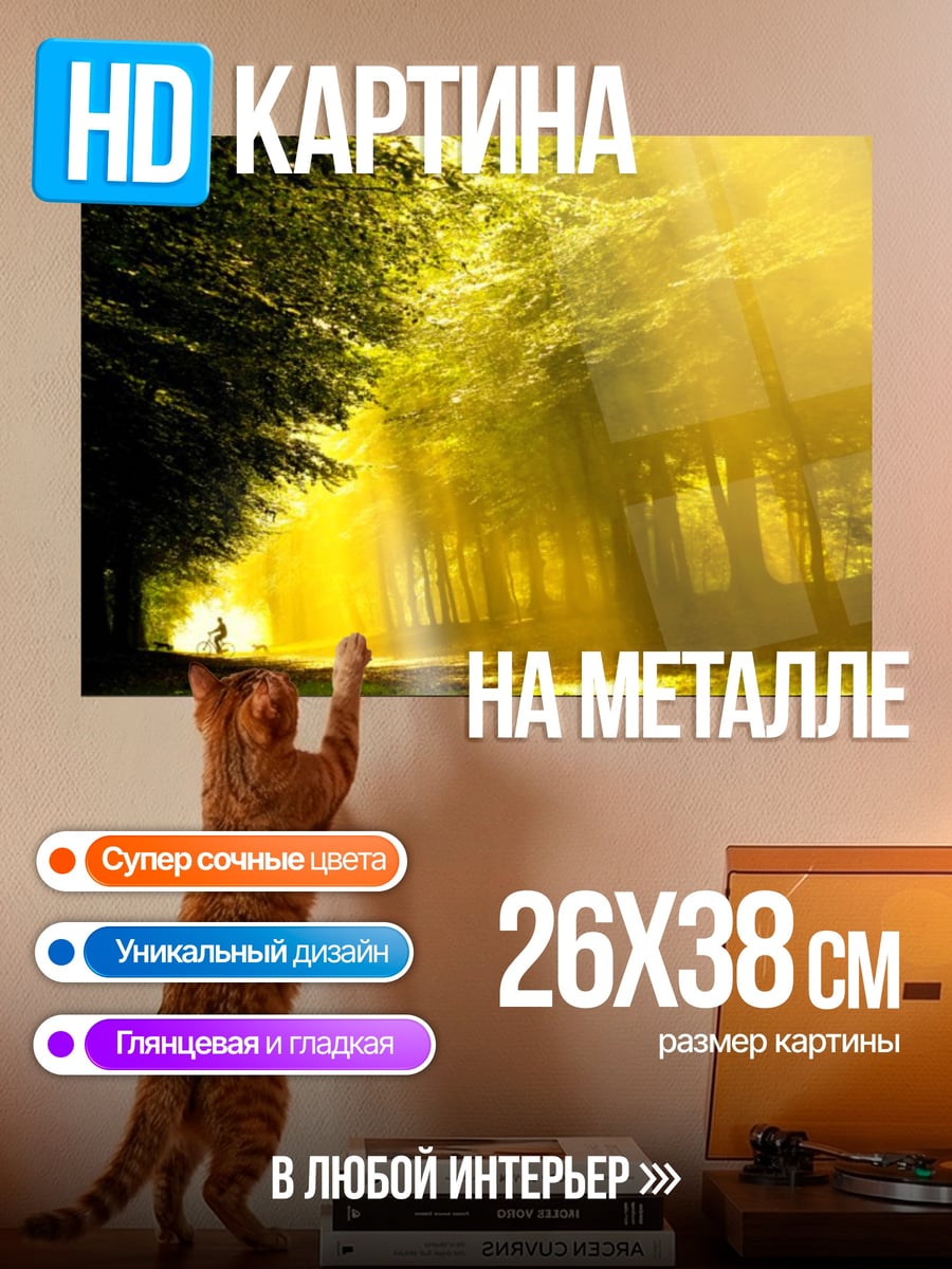 Картина на металле Лес в лучах солнца