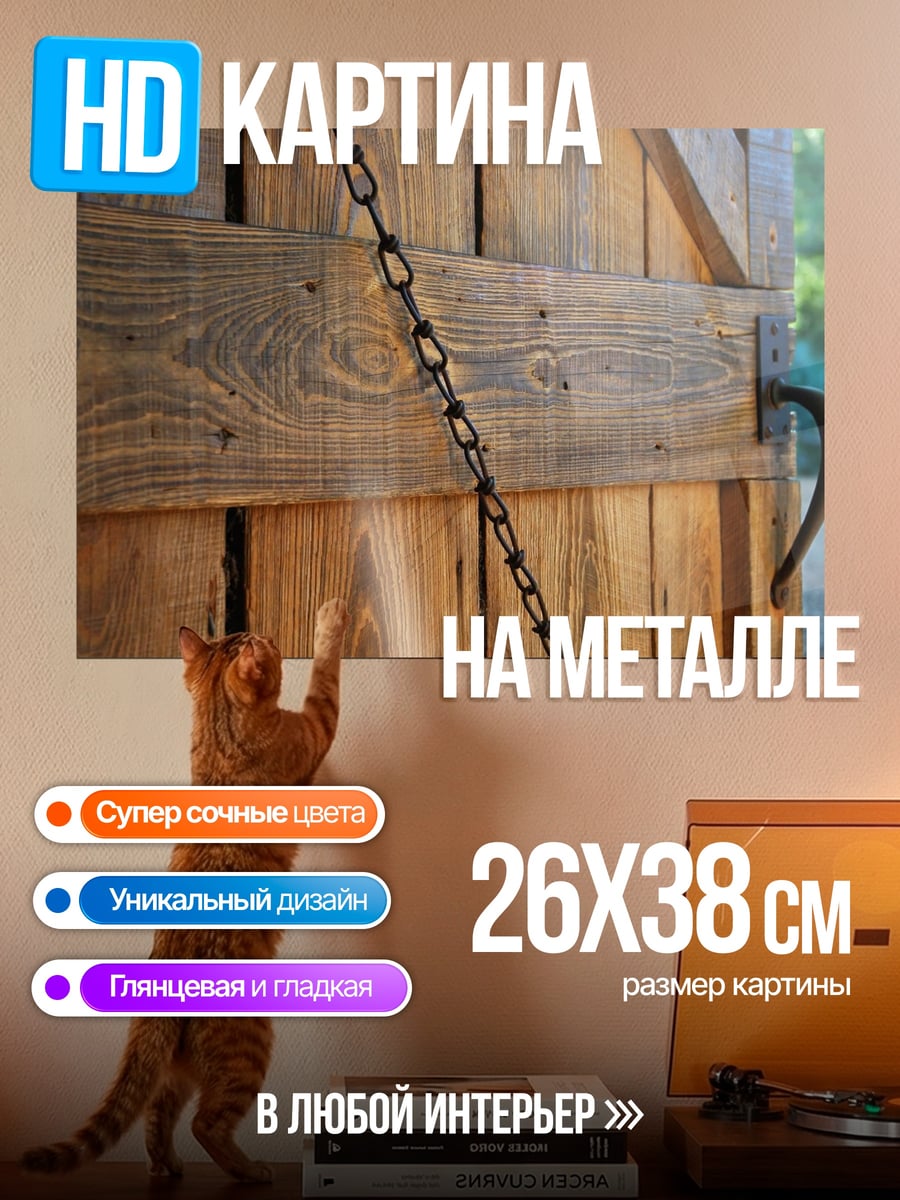 Картина на металле Деревянная дверь цепь