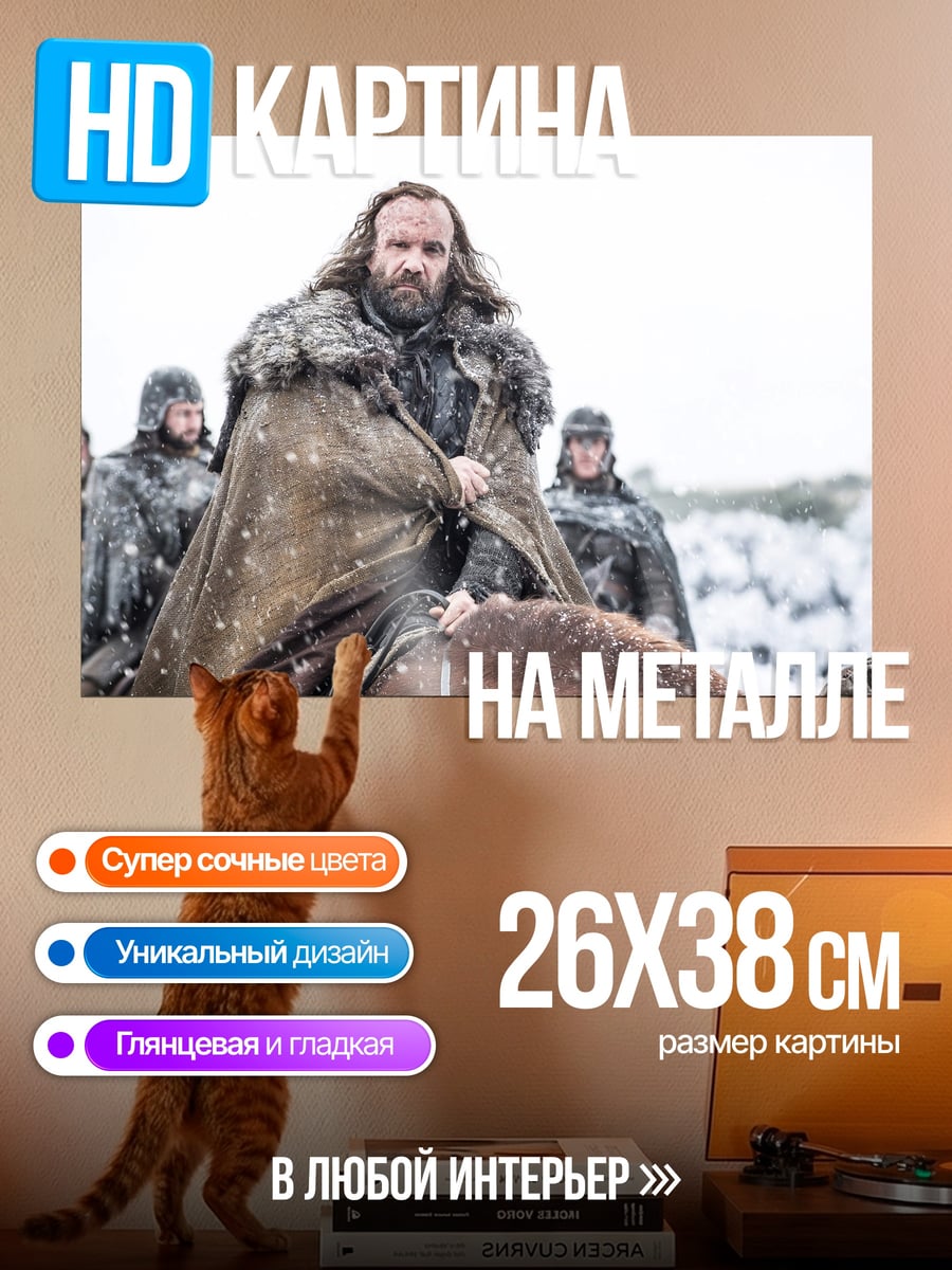 Картина на металле Воин Севера