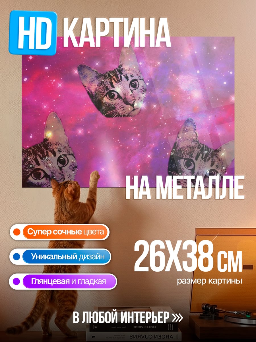 Картина на металле Космические коты