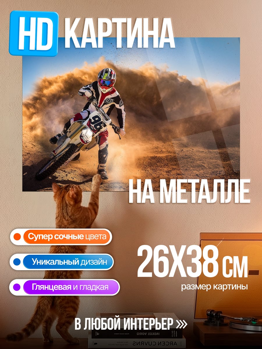 Картина на металле мотоциклист в пустыне