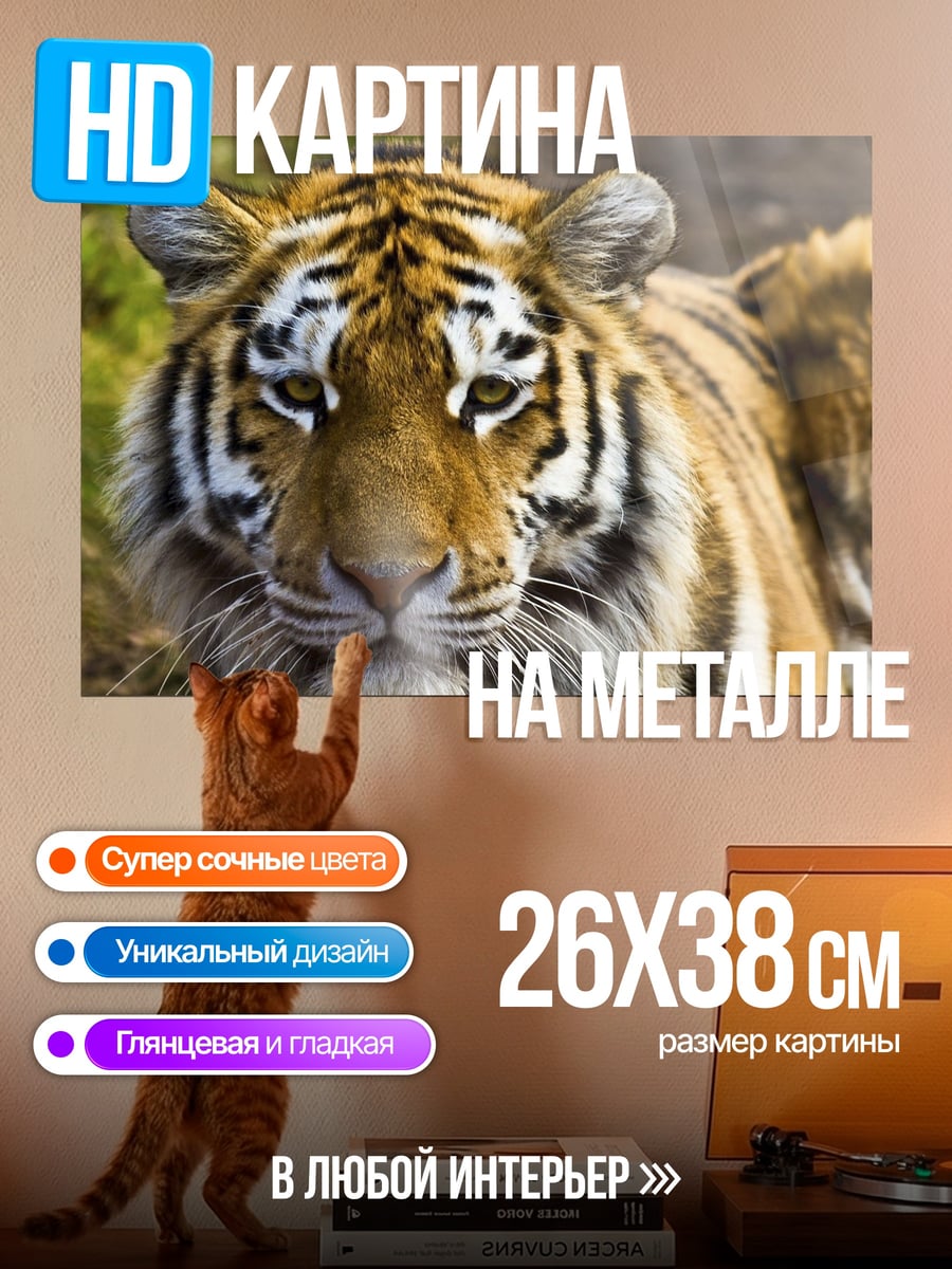 Картина на металле Портрет тигра