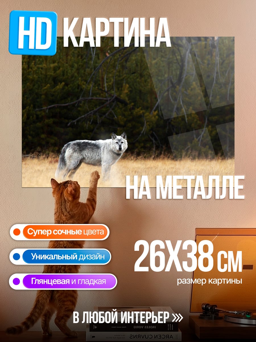 Картина на металле серый волк в поле