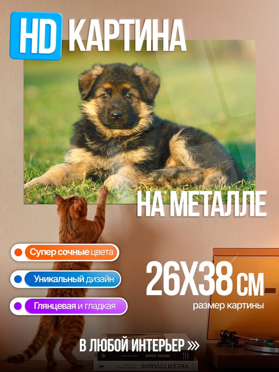 Картина на металле Щенок овчарки