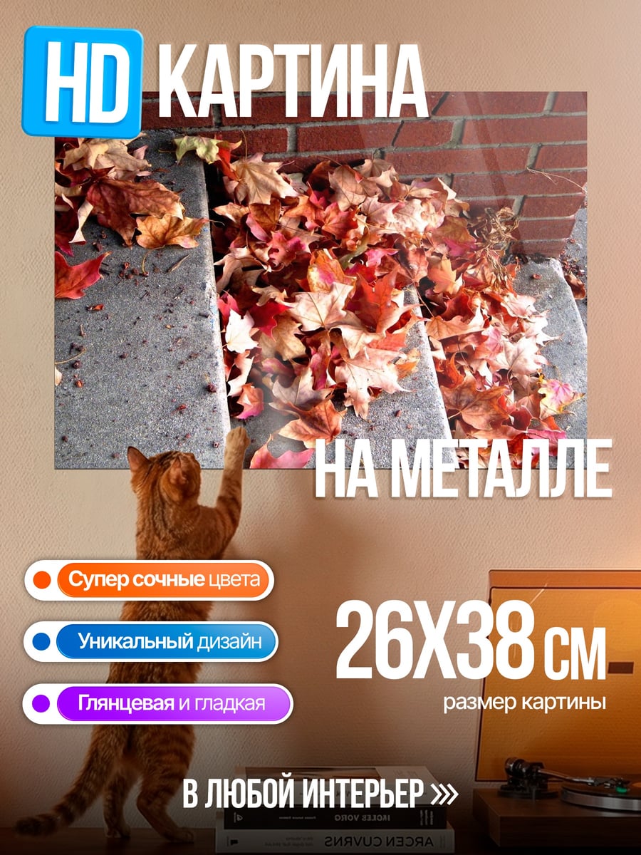 Картина на металле осенние листья на ступеньках