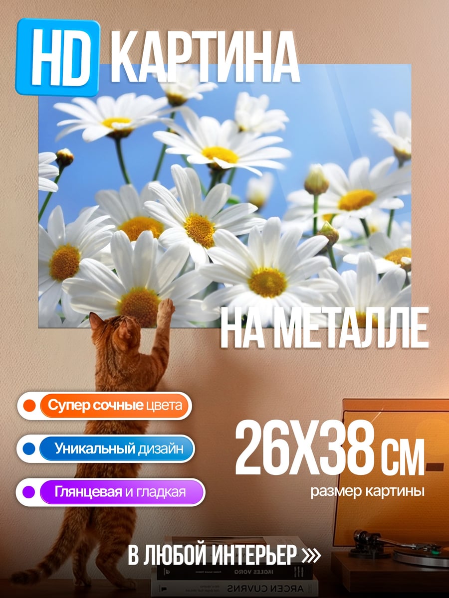 Картина на металле поле ромашек
