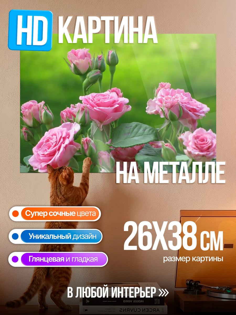 Картина на металле Розовые розы в саду