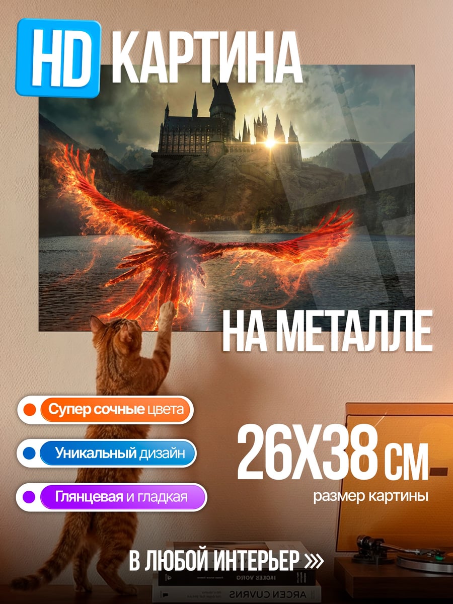 Картина на металле Феникс над Хогвартсом