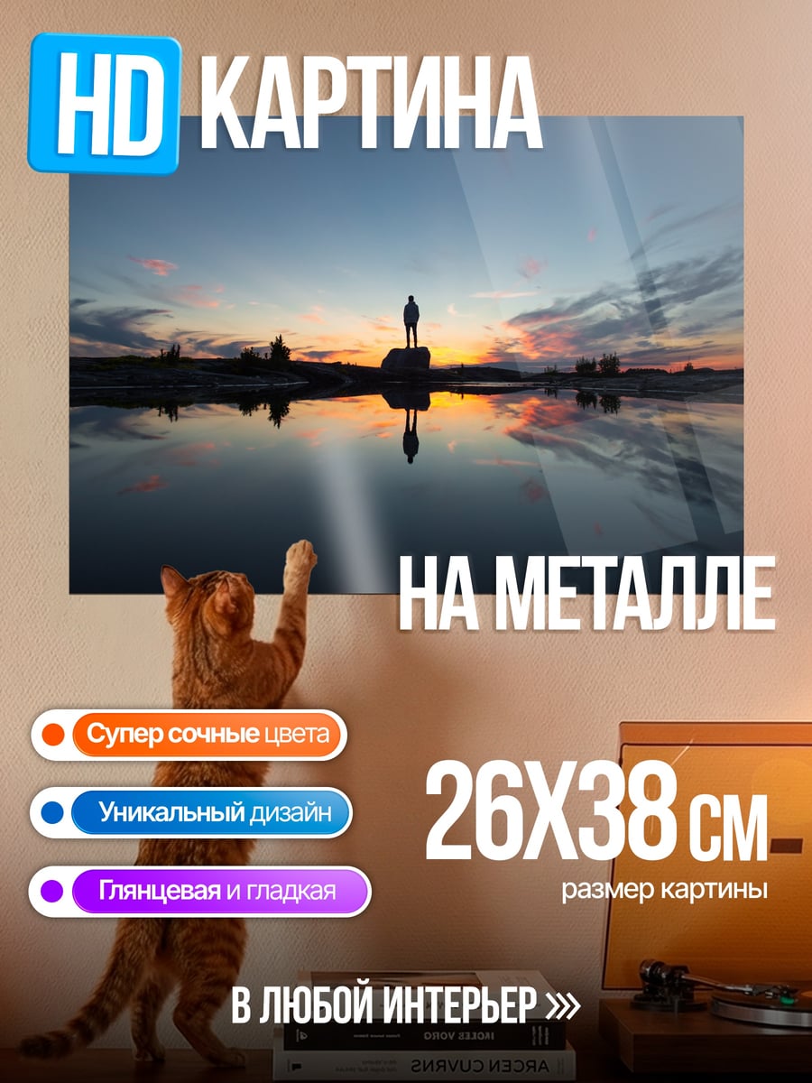 Картина на металле Человек на закате