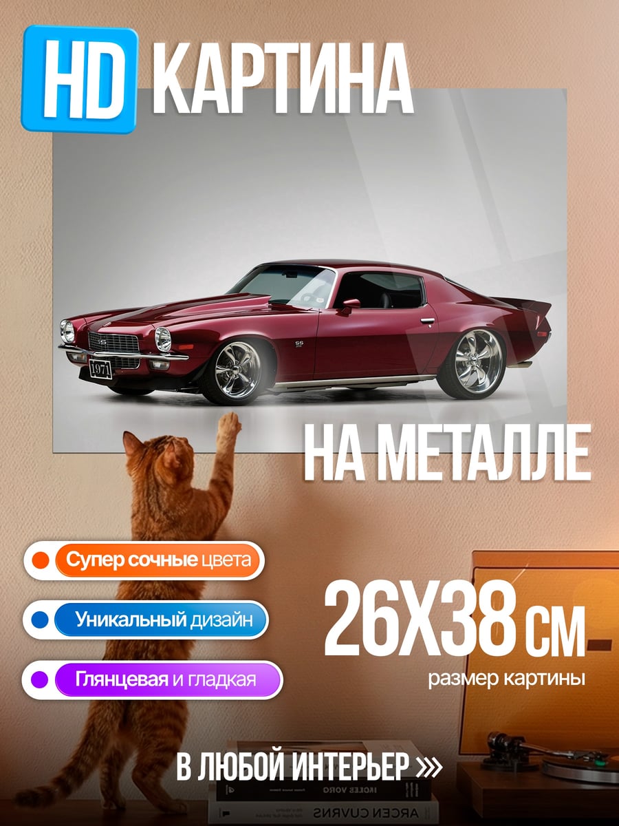 Картина на металле Красный маслкар