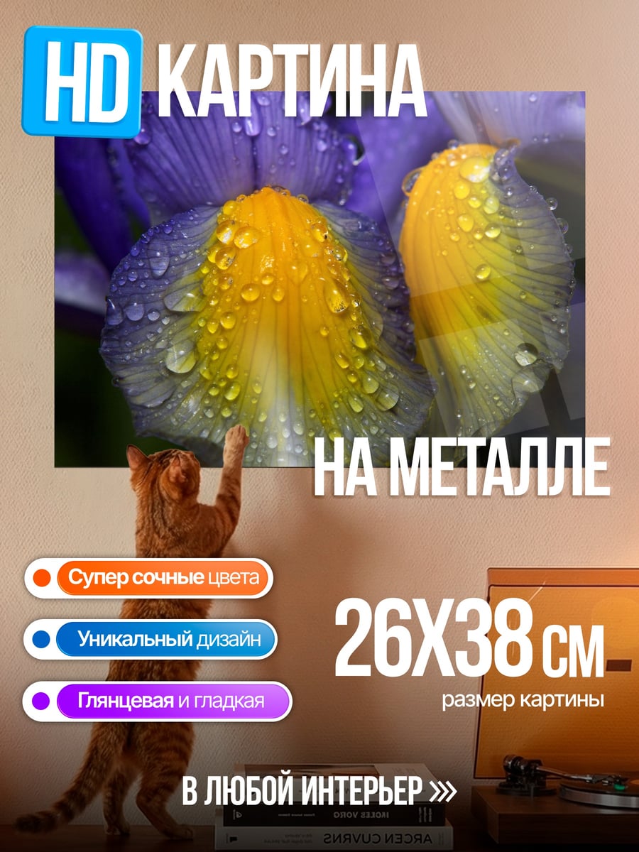 Картина на металле Ирис с каплями
