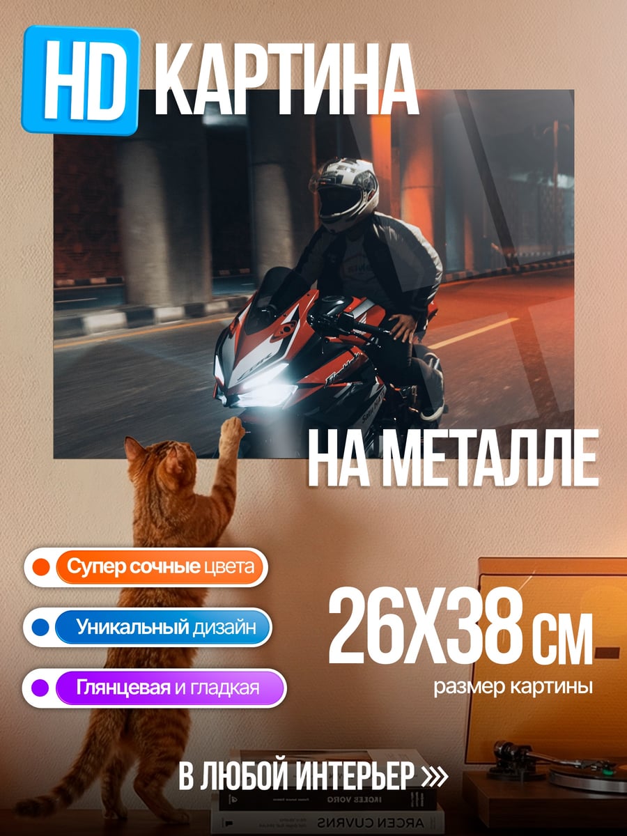Картина на металле Ночной гонщик