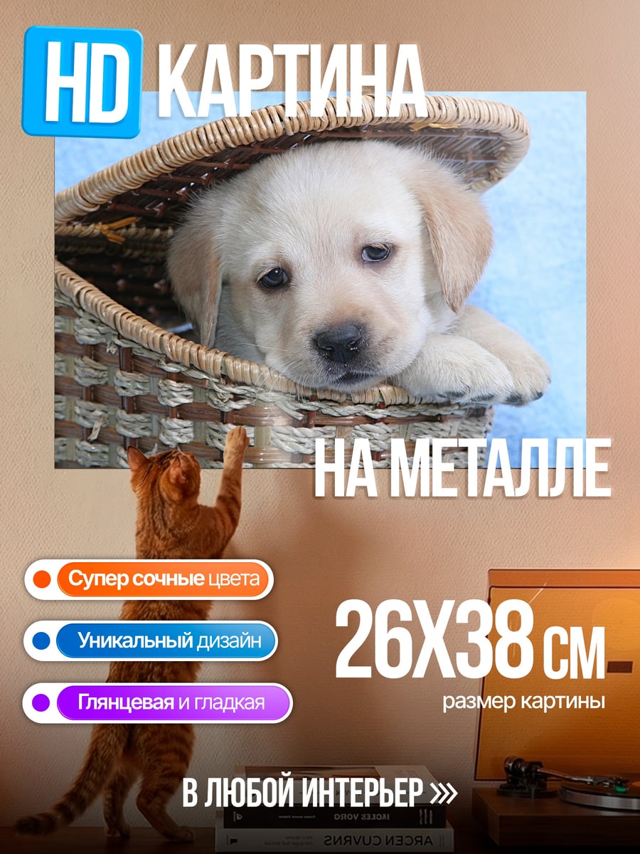 Картина на металле Щенячья мордашка в корзине