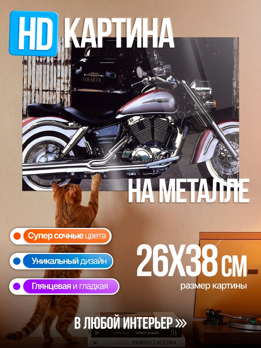 Картина на металле Чоппер на улице