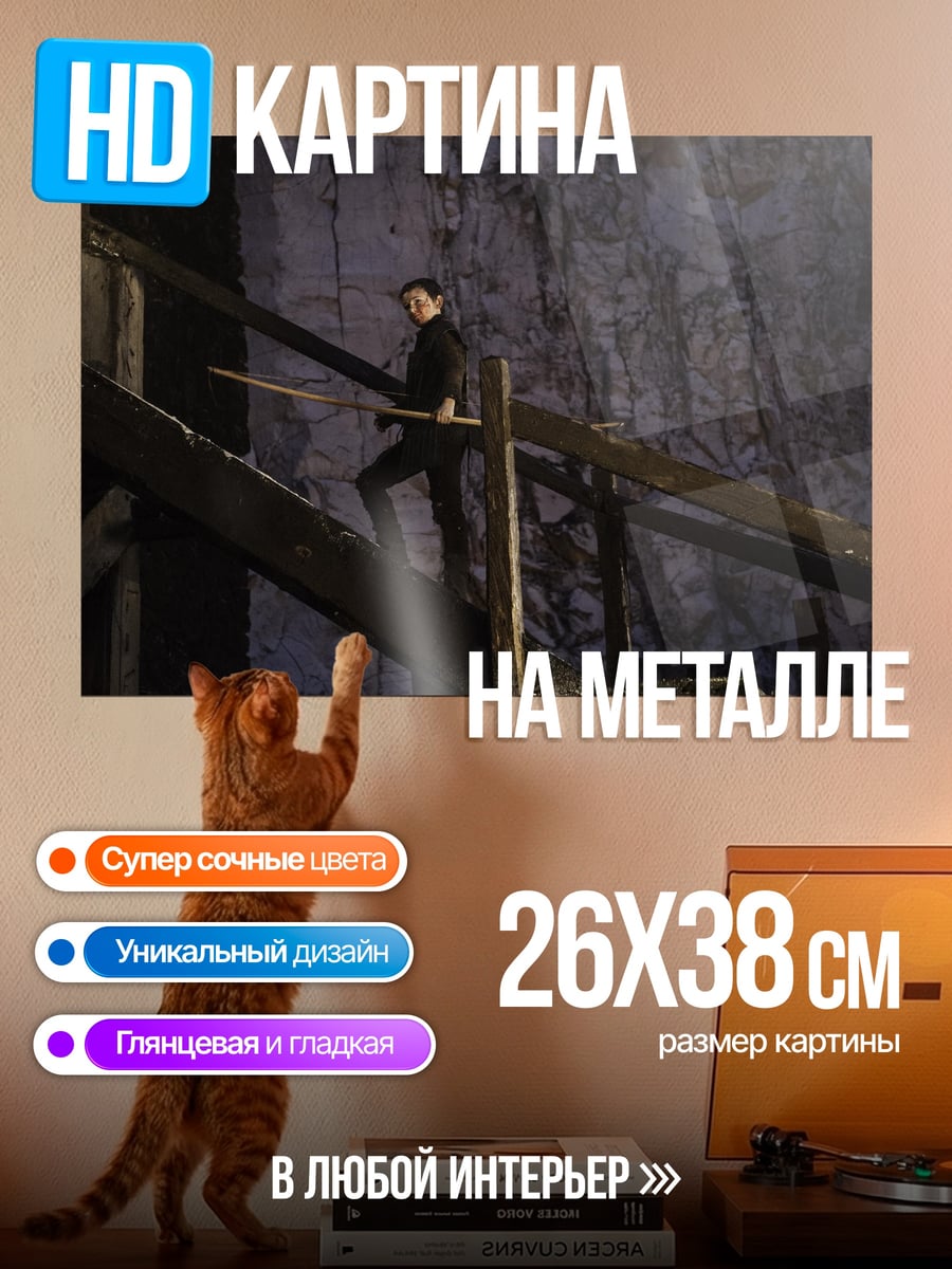 Картина на металле Девушка с мечом