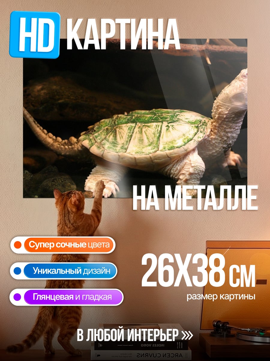Картина на металле каймановая черепаха