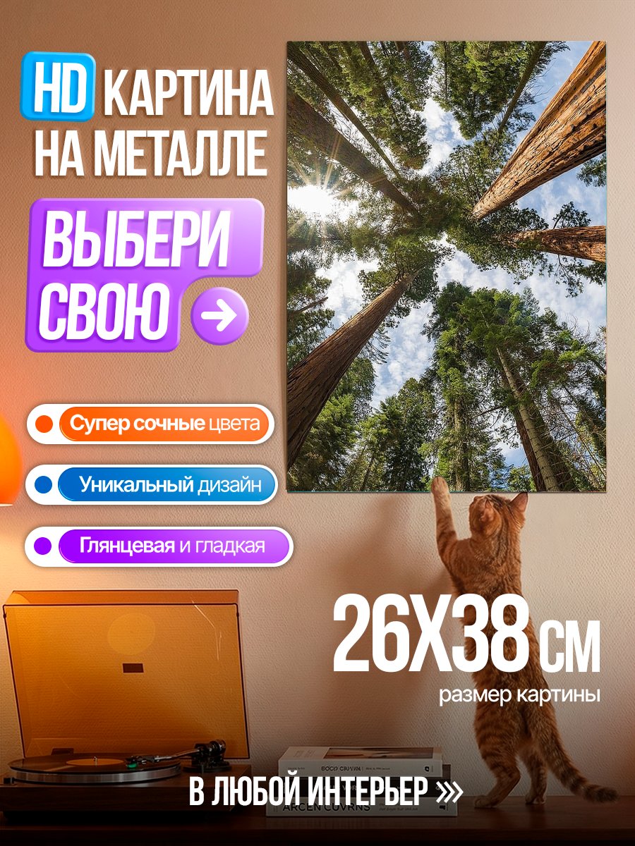 Картина на металле Вековые секвойи