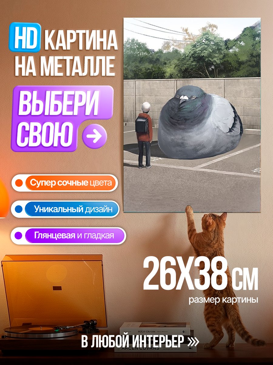Картина на металле Огромный голубь на парковке