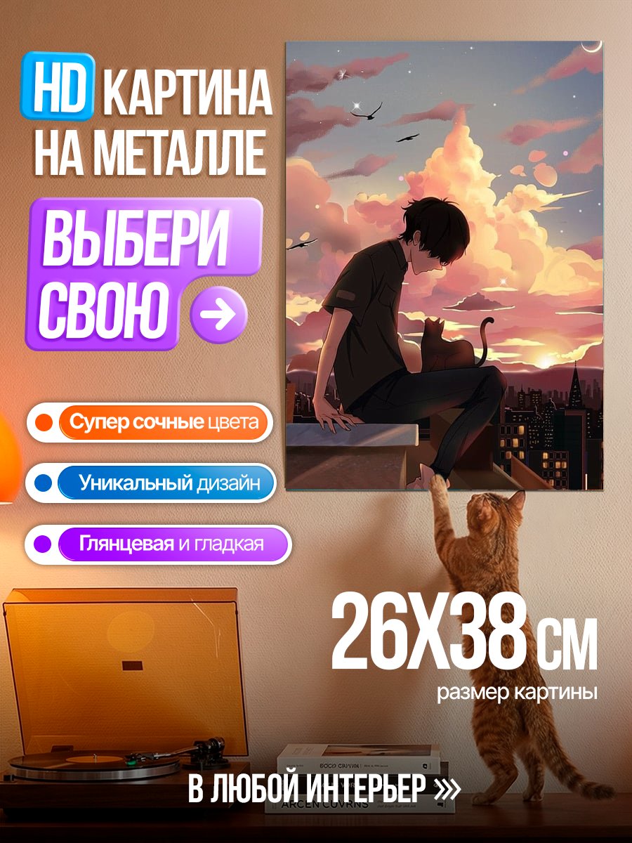 Картина на металле Парень с котом на закате