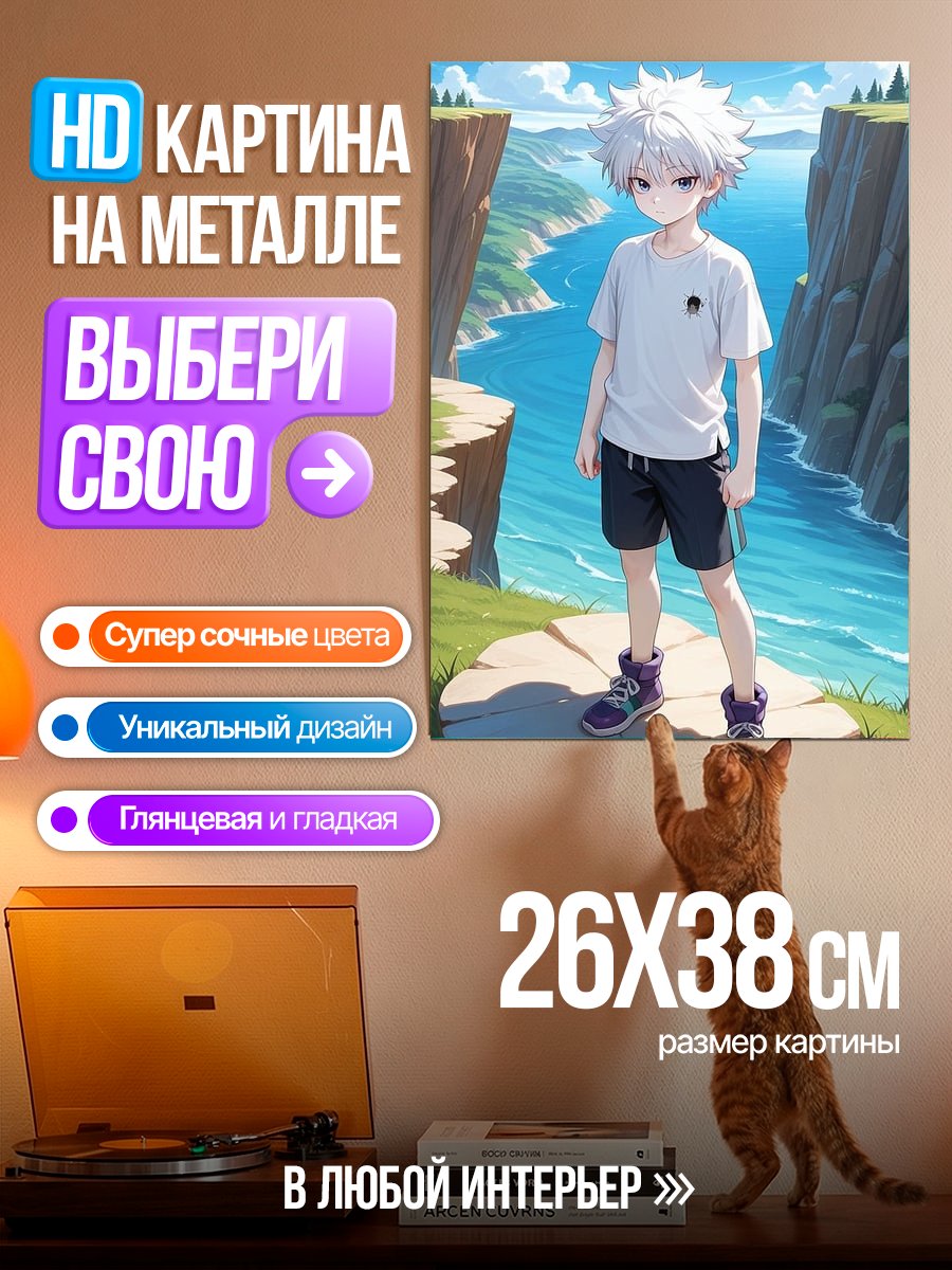 Картина на металле Киллуа Золдик
