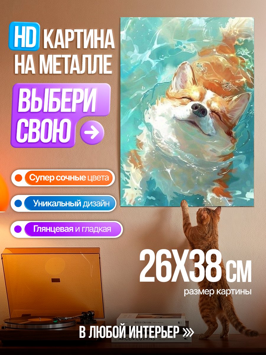 Картина на металле Корги плывет в воде