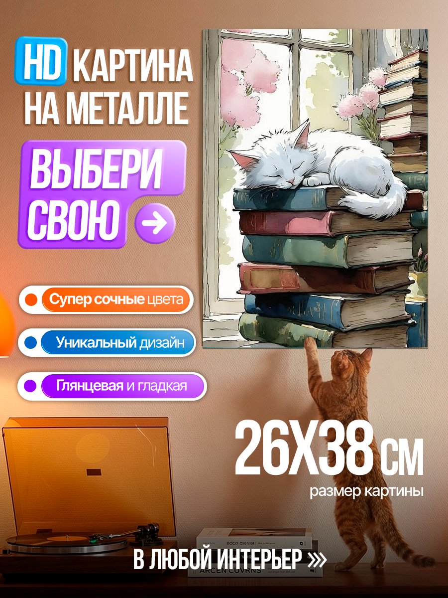 Картина на металле Кот спит на книгах