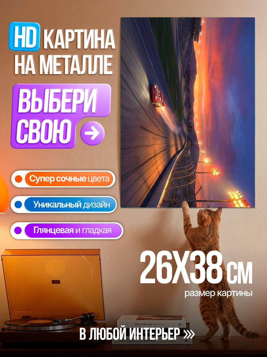 Картина на металле Гонки на закате