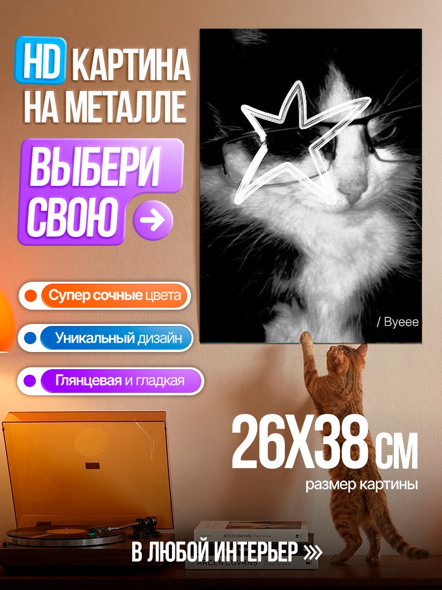 Картина на металле Кот в очках