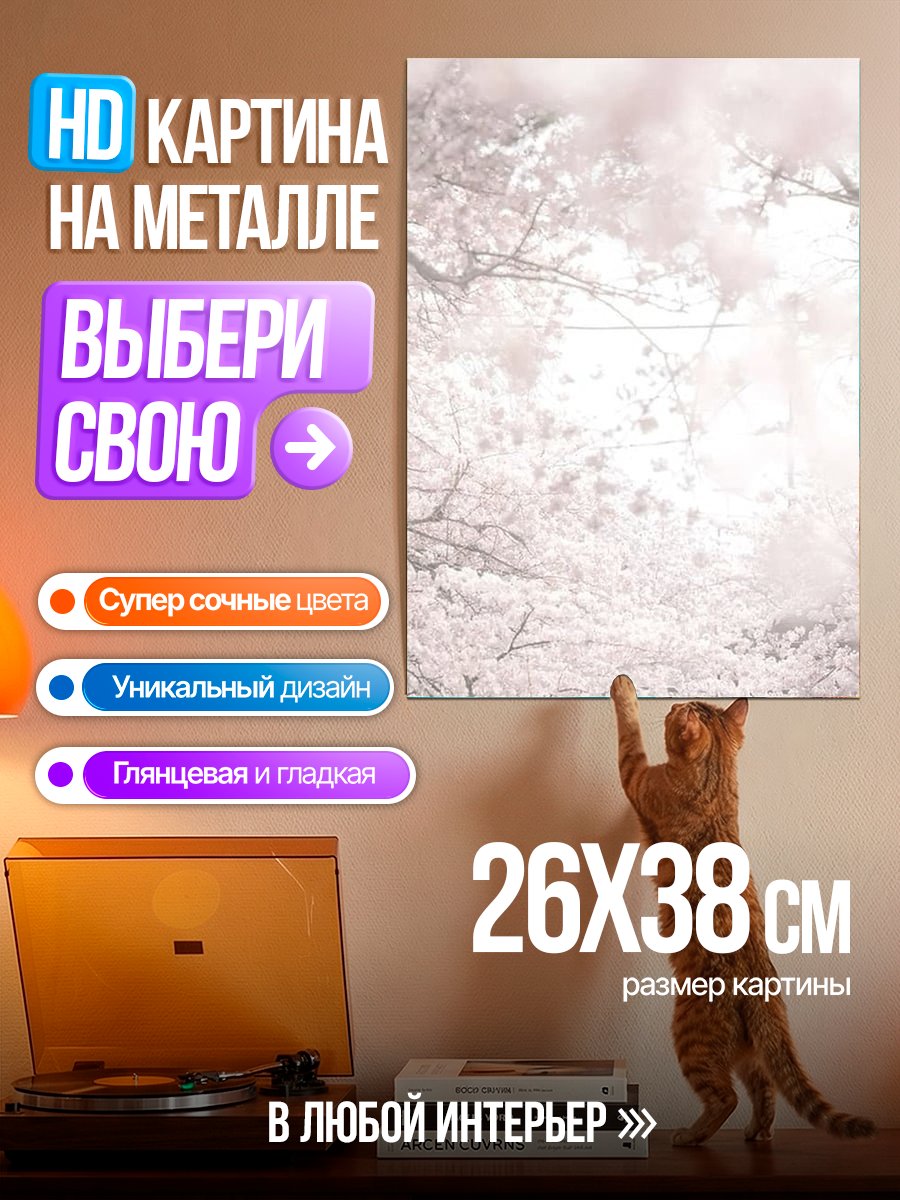 Картина на металле Цветение сакуры весной