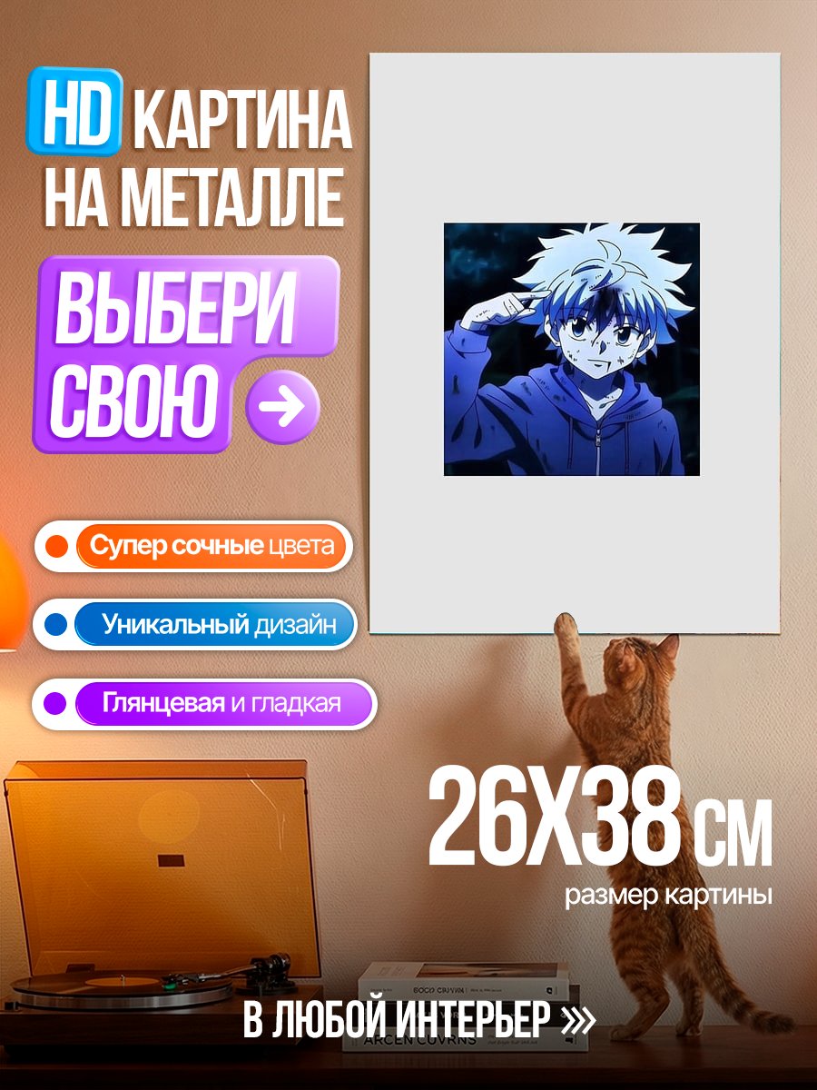 Картина на металле Киллуа Золдик