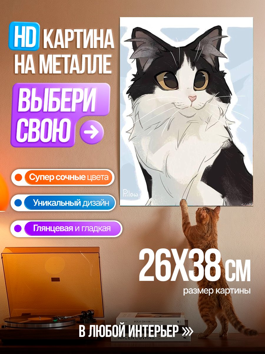 Картина на металле Черно-белый кот