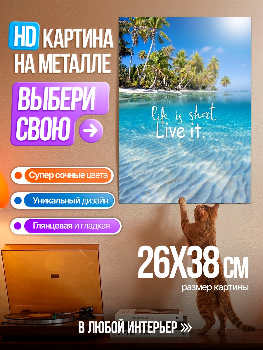 Картина на металле Жизнь коротка