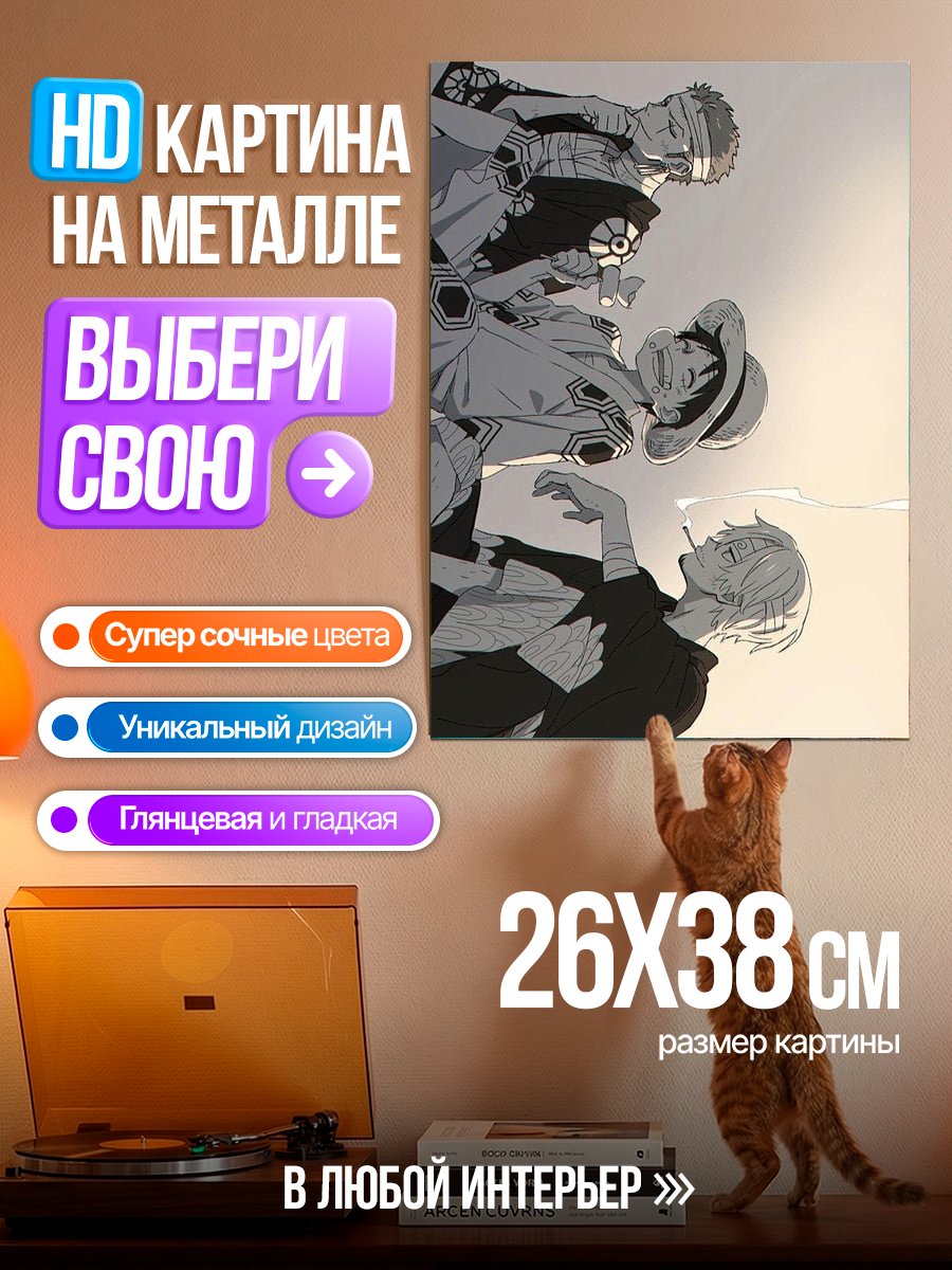 Картина на металле Пираты Соло
