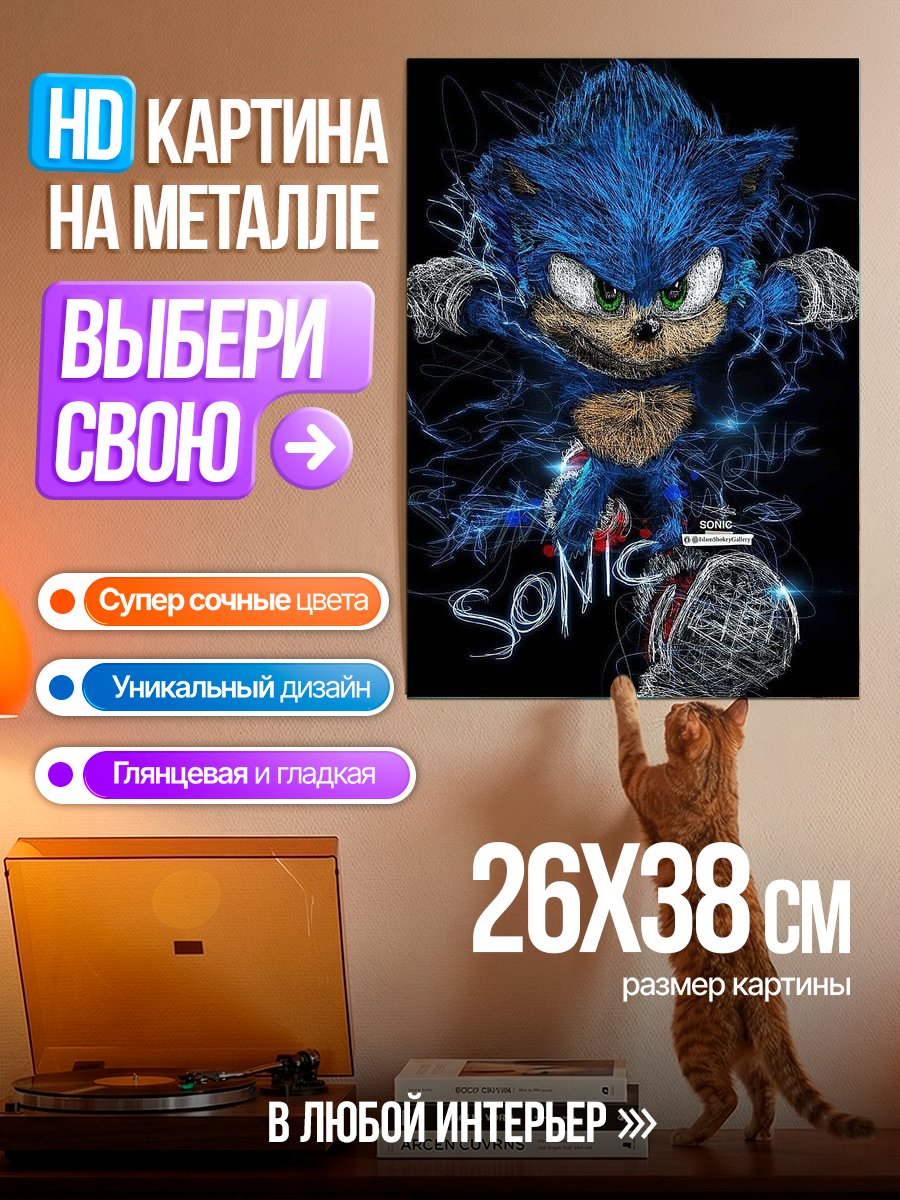 Картина на металле Соник скоростной