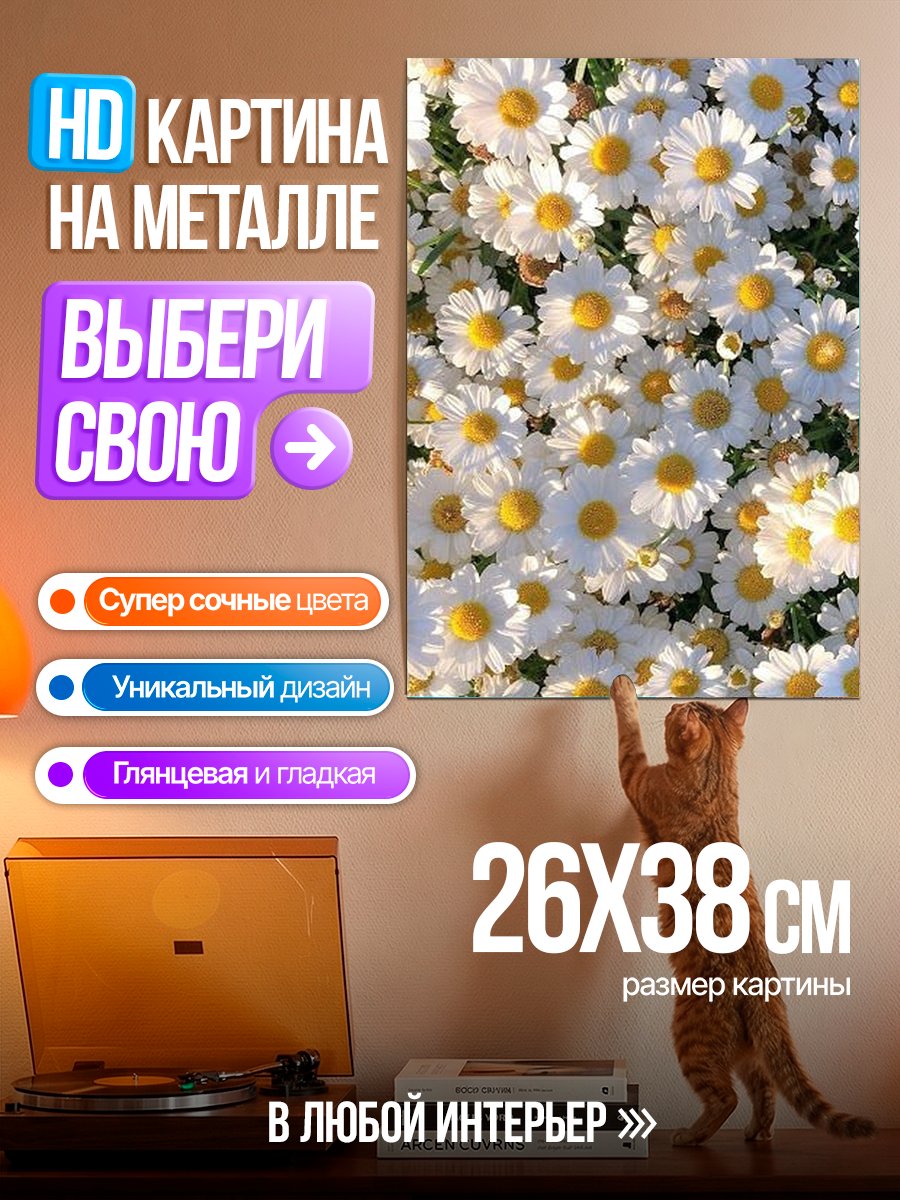 Картина на металле Поле ромашек