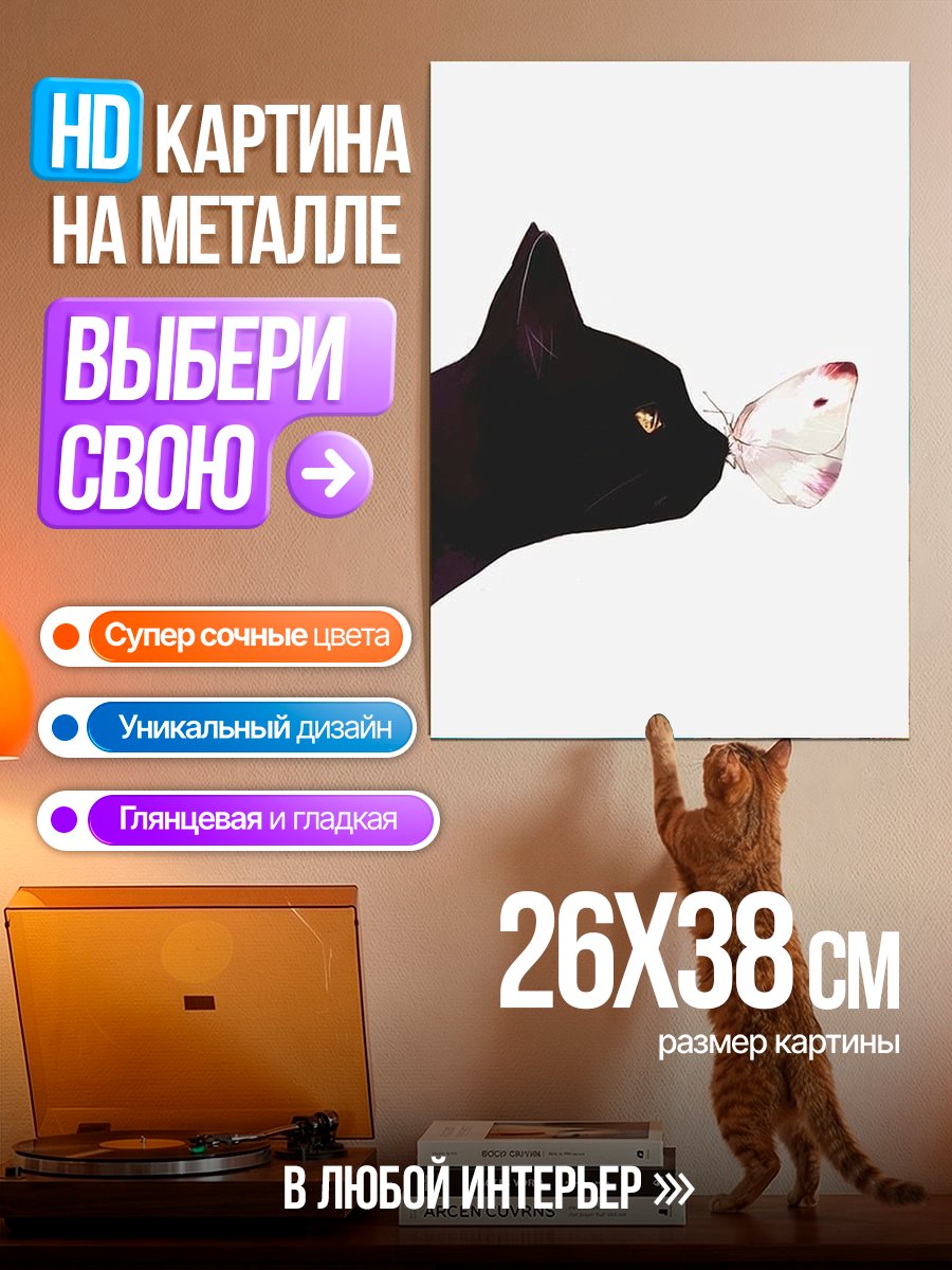 Картина на металле Черный кот и бабочка