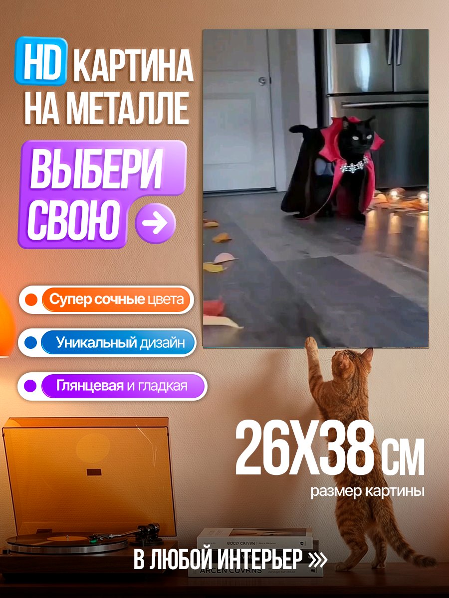 Картина на металле Черный кот вампир
