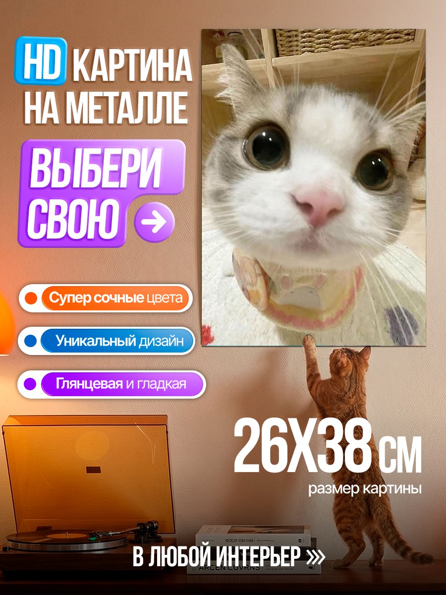 Картина на металле Кот с большими глазами