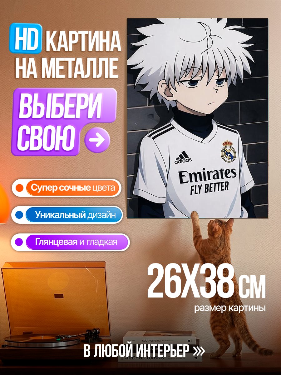 Картина на металле Киллуа Зольдик в форме