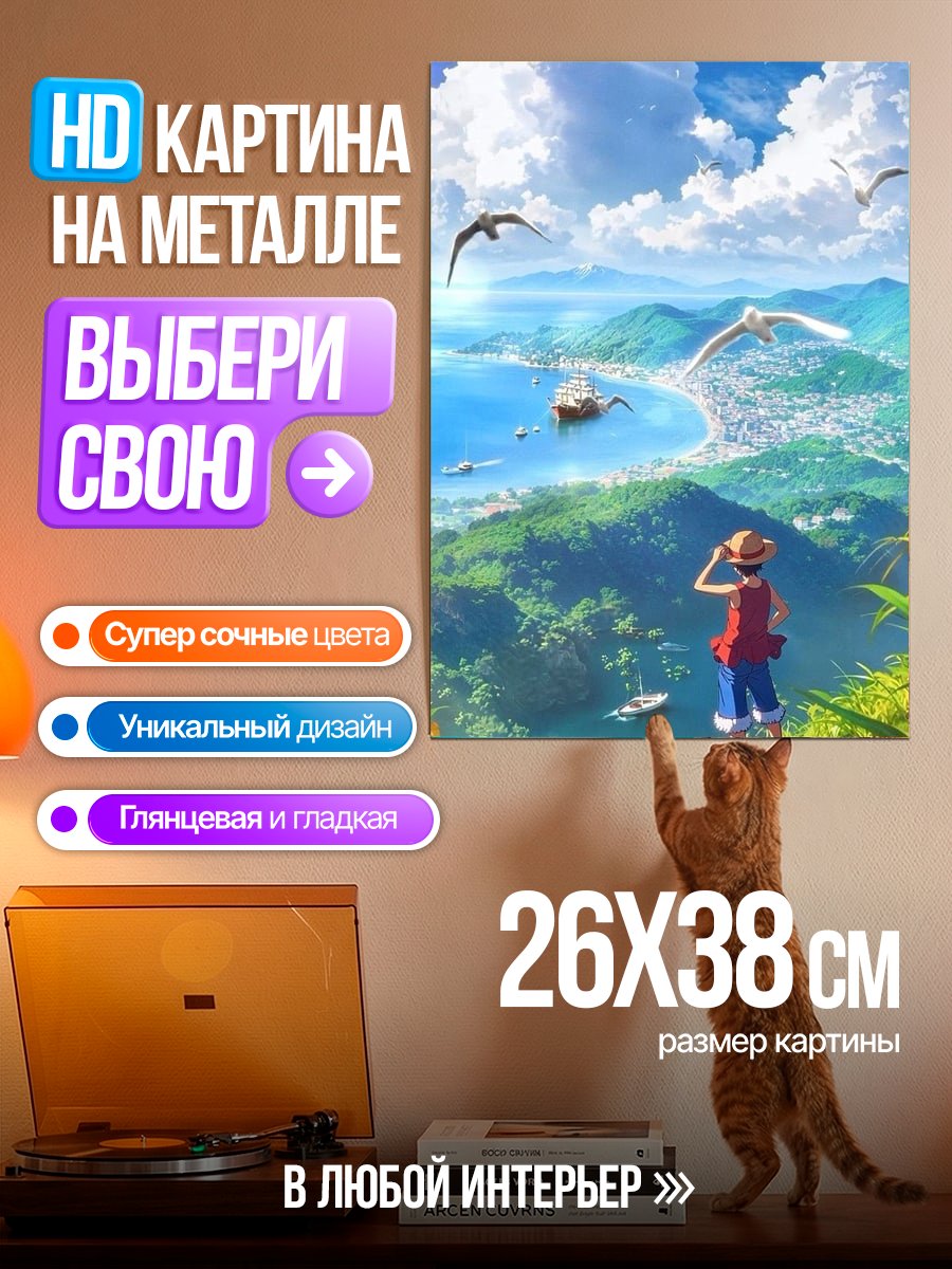 Картина на металле Манки Д Луффи смотрит на море