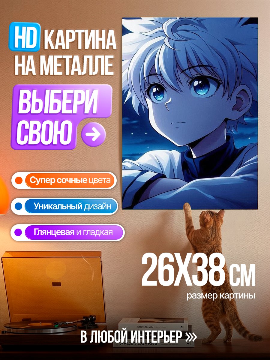 Картина на металле Киллуа Золдик в ночи