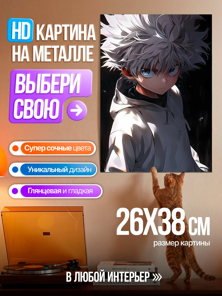Картина на металле Киллуа Золдик портрет