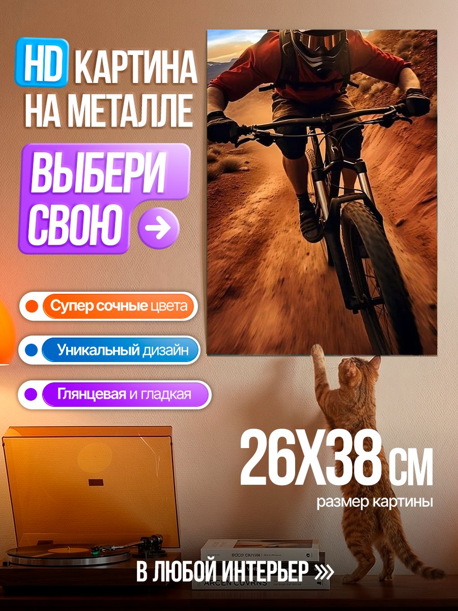 Картина на металле Горный велосипед на трассе