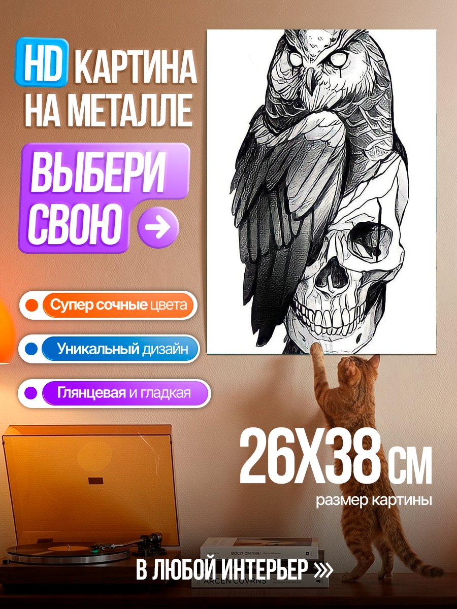 Картина на металле Сова на черепе