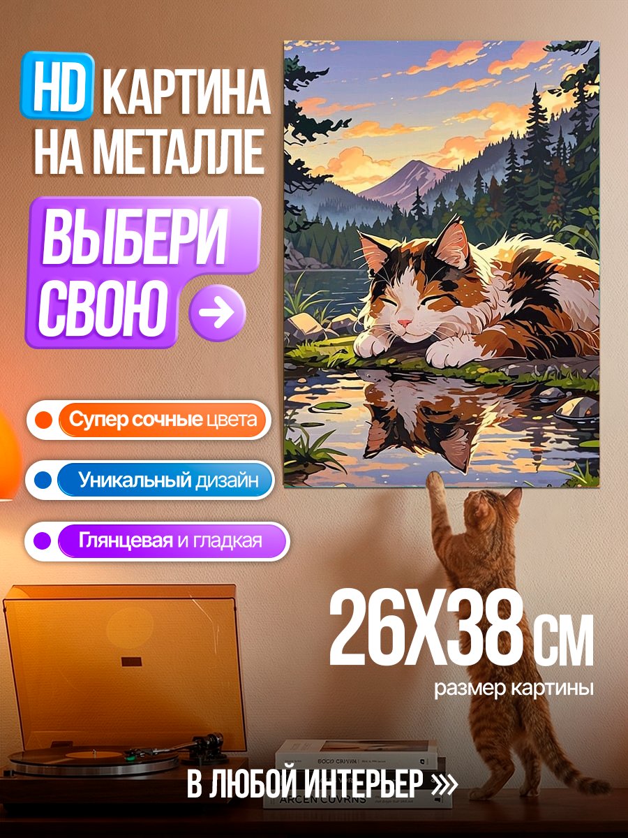 Картина на металле Спящий кот на берегу
